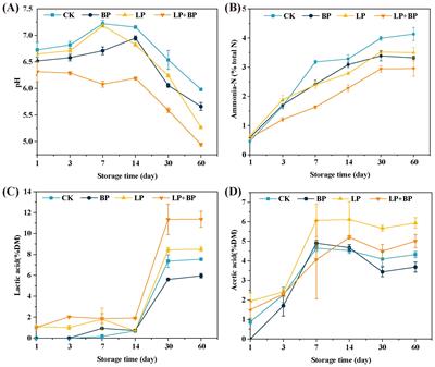 Effect of Lactiplantibacillus and sea buckthorn pomace on the fermentation quality and microbial community of paper mulberry silage